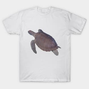 Real turtle swimming T-shirt, photo printed on the front T-Shirt